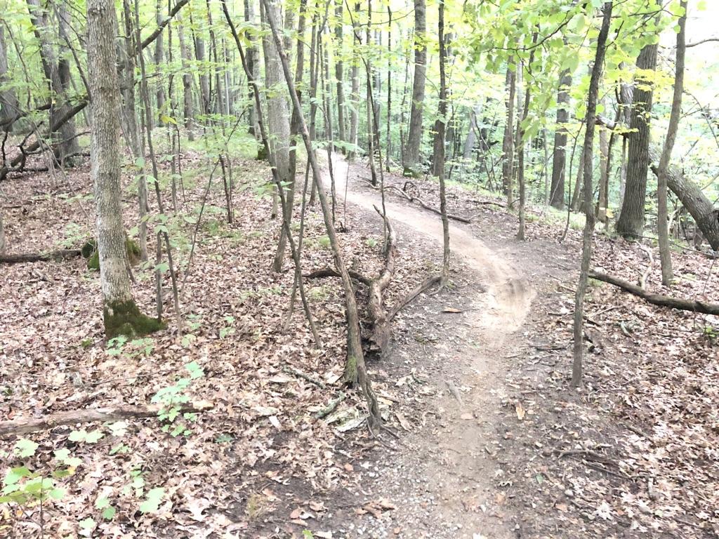 stoney creek bike trail