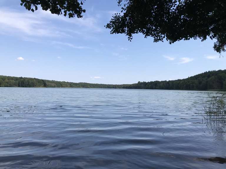 Badestelle am Tornowsee Routes for Walking and Hiking | Komoot