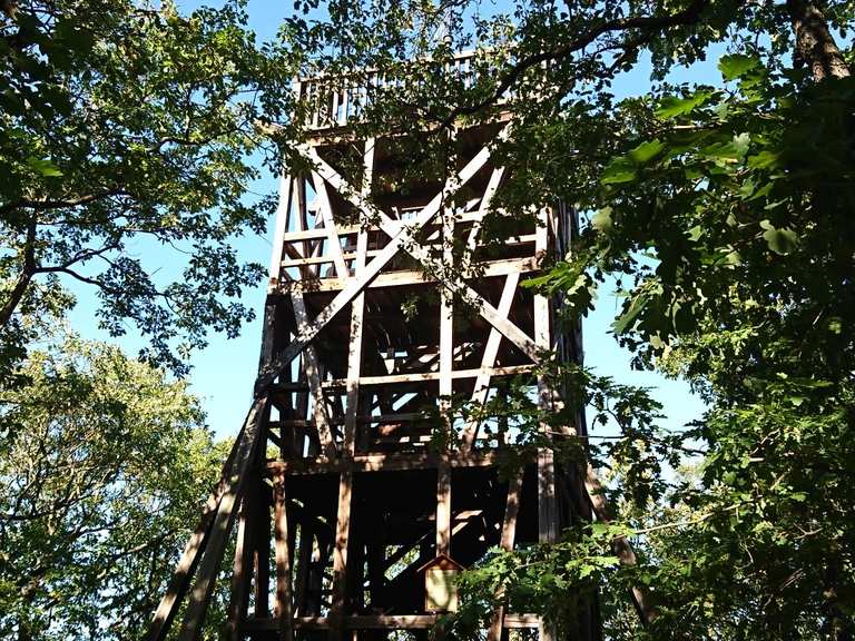 Preußenturm (HWN185) Wanderungen und Rundwege komoot