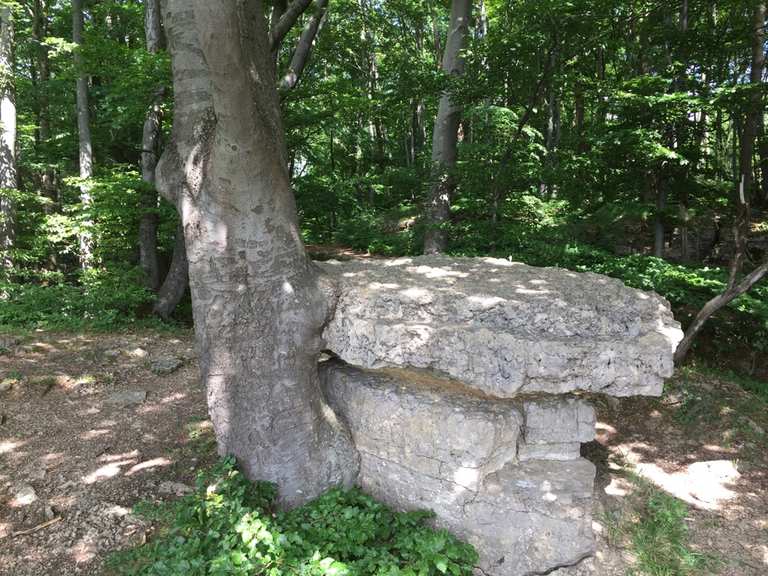 Wolfstisch Wanderungen und Rundwege komoot