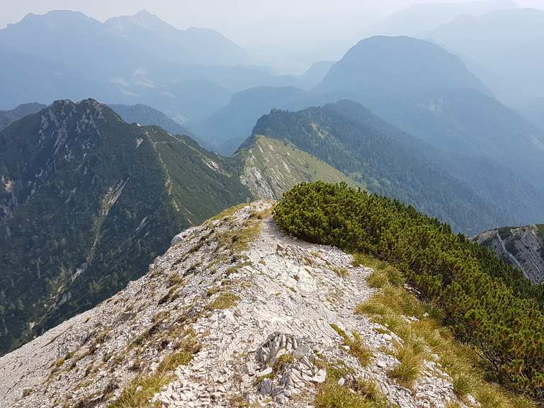 Sonntagshorn Wanderungen und Rundwege komoot