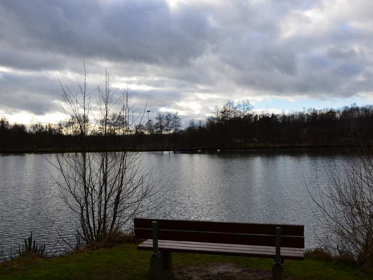 Haselsee Wanderungen und Rundwege komoot