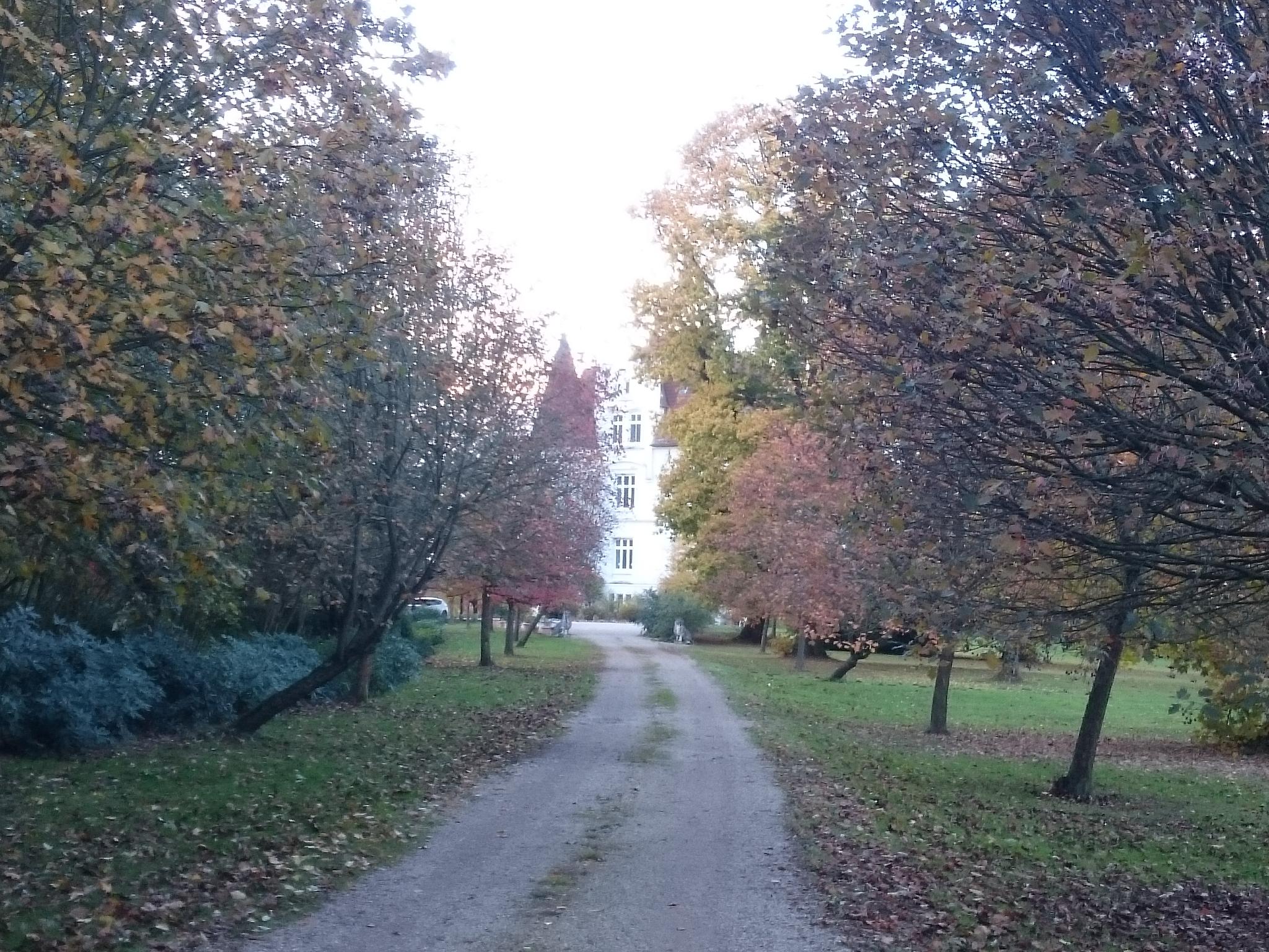 Blick Auf Haus Dorloh, Castrop-Rauxel : Radtouren Und Radwege | Komoot