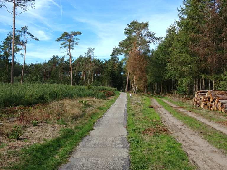 Nationaal Park de Sallandse Heuvelrug Rennradfahren und Rennradtouren komoot