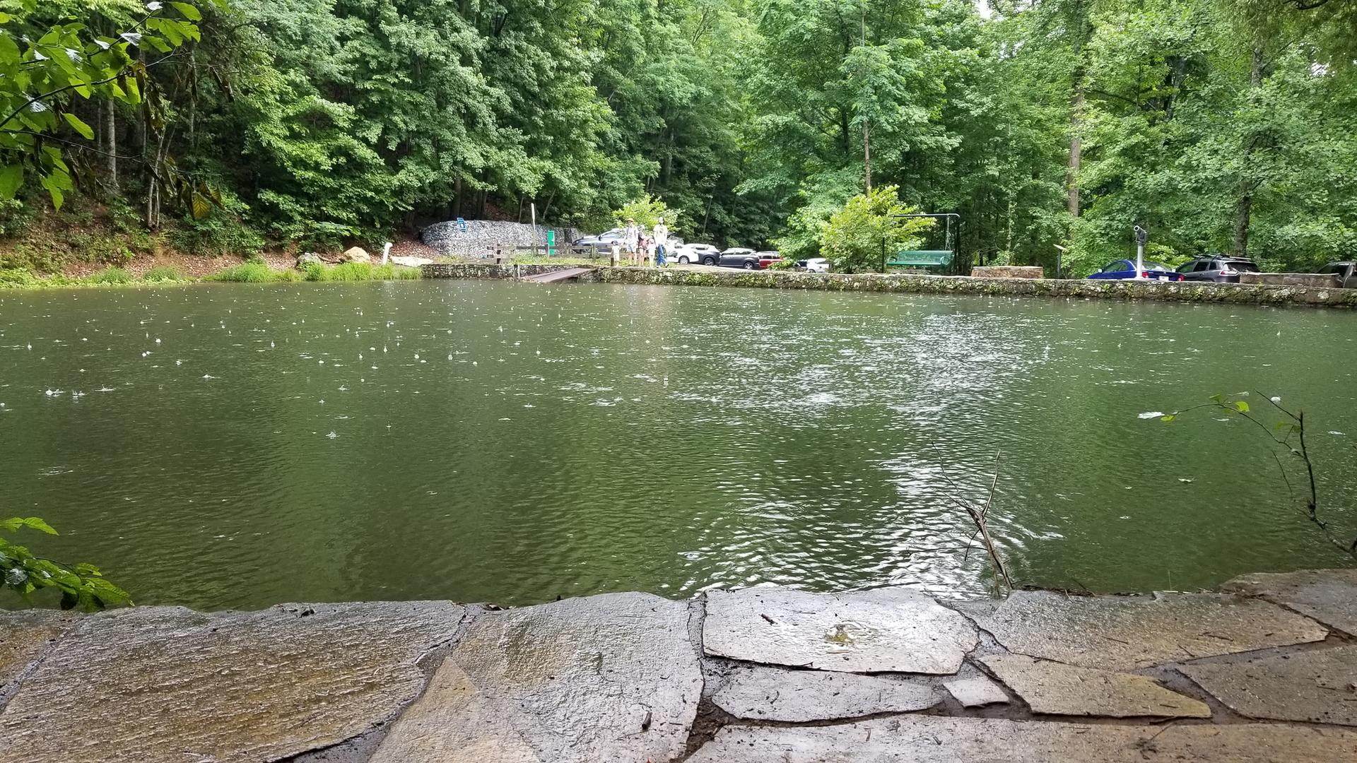 A calm green lake with a stone wall, surrounded by trees and distant cars.