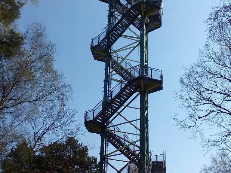Käflingsbergturm Wanderungen und Rundwege komoot