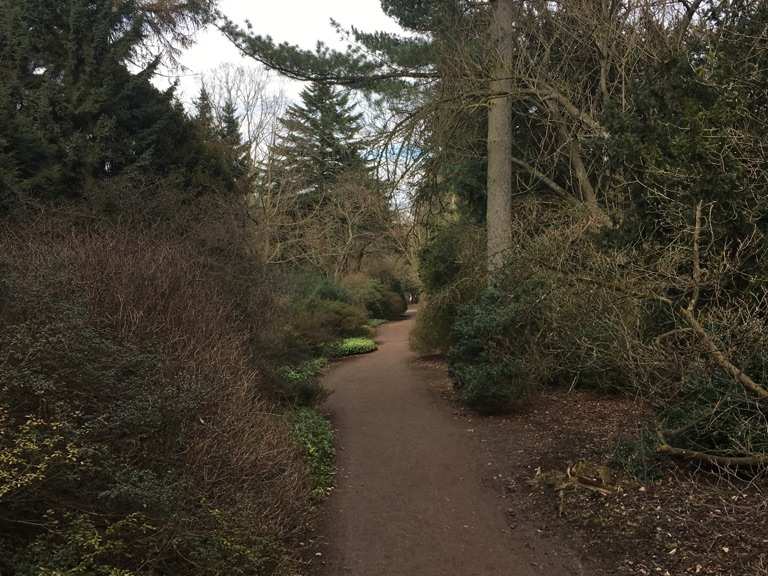 Forstbotanischer Garten &amp; Friedenswald Nordrhein