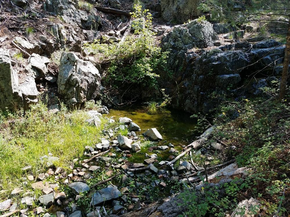 Small, murky pool of water surrounded by rocks and green vegetation.