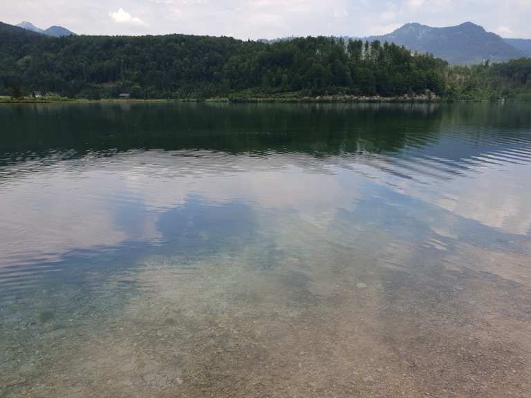 Wunderschöner Almsee - Scharnstein, Gmunden | Wandertipps ...