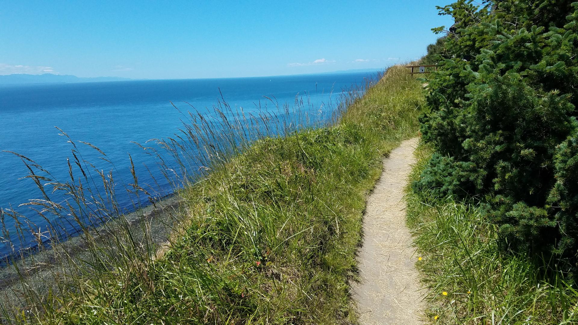 Narrow dirt path winding along a sunny, grassy cliff overlooking a blue ocean.