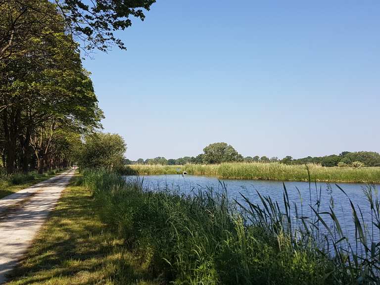 Rieselfelder Radtouren und Radwege komoot