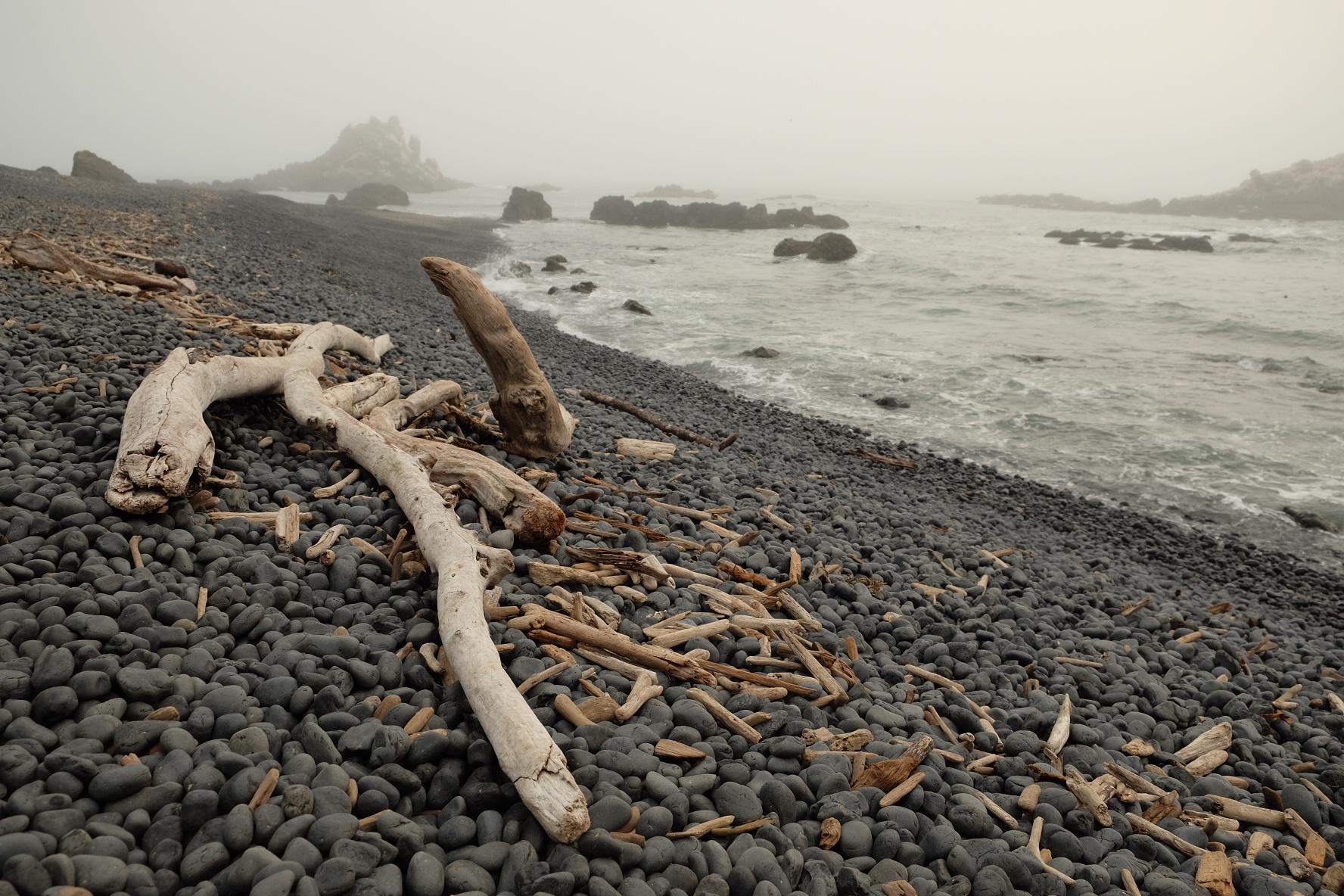 Driftwood on a dark pebble beach with misty ocean and rocky coastline.