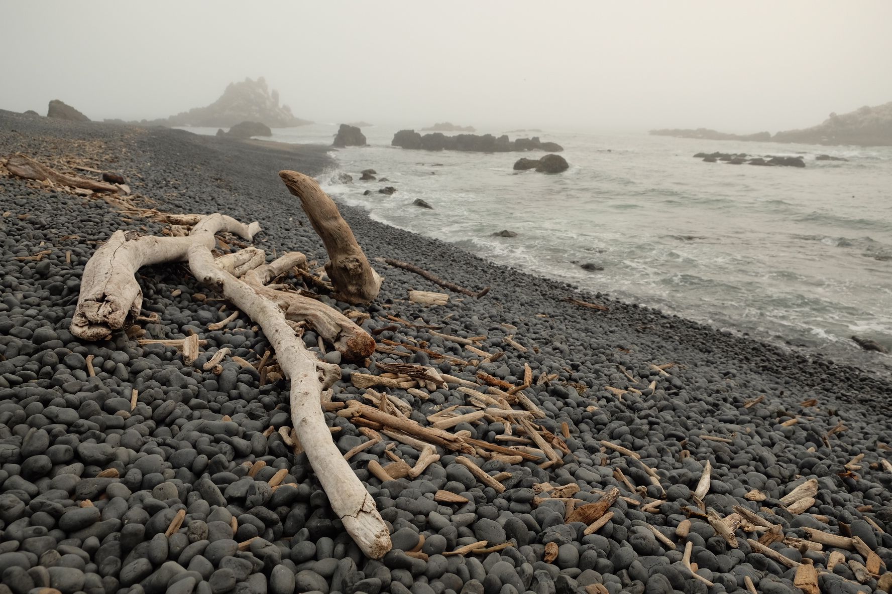Driftwood on a dark pebble beach with misty ocean and rocky coastline. - Lighthouse and Salal Hill Trail Loop