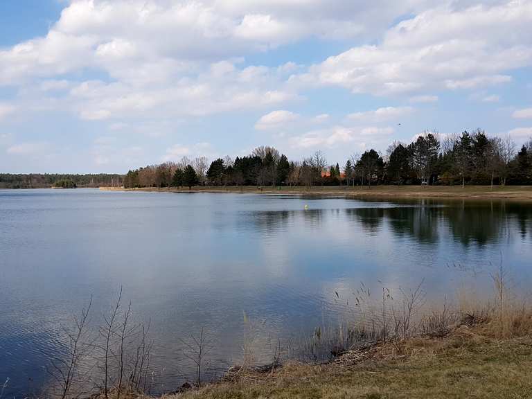 Kiebitzer See Falkenberg - Falkenberg/Elster, Elbe-Elster | Hiking Tips ...