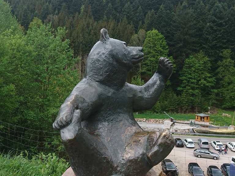 Bärenpark Wanderungen und Rundwege komoot
