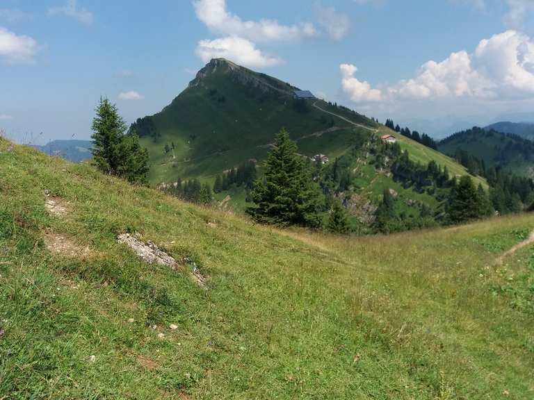 Seelekopf Oberstaufen Oberallgau Hiking Tips Photos Komoot