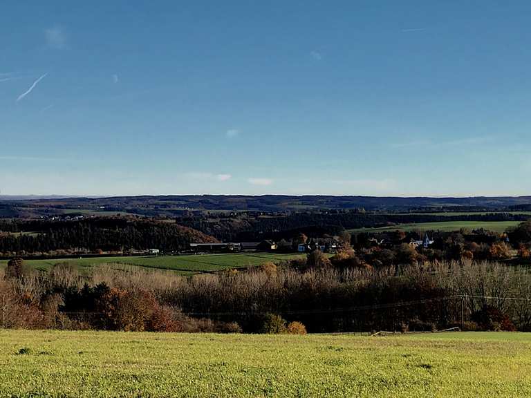 Eifel-Blick – Panoramablick-Dreiborn Routes for Walking and Hiking | Komoot