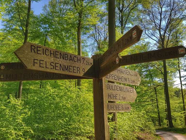 Kirchberghäuschen Jägerrast Recorrido circular desde Bensheim