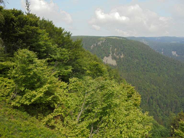 Felsenweg Col de la Schlucht Wanderungen