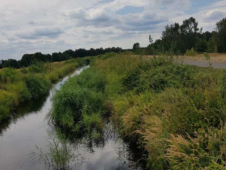 Radweg am Hammergraben Cycle Routes and Map | Komoot