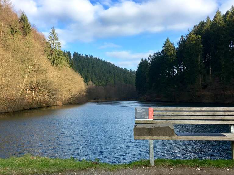 AggerTalsperre Blick auf die Aggerstaumauer Runde von Hackenberg