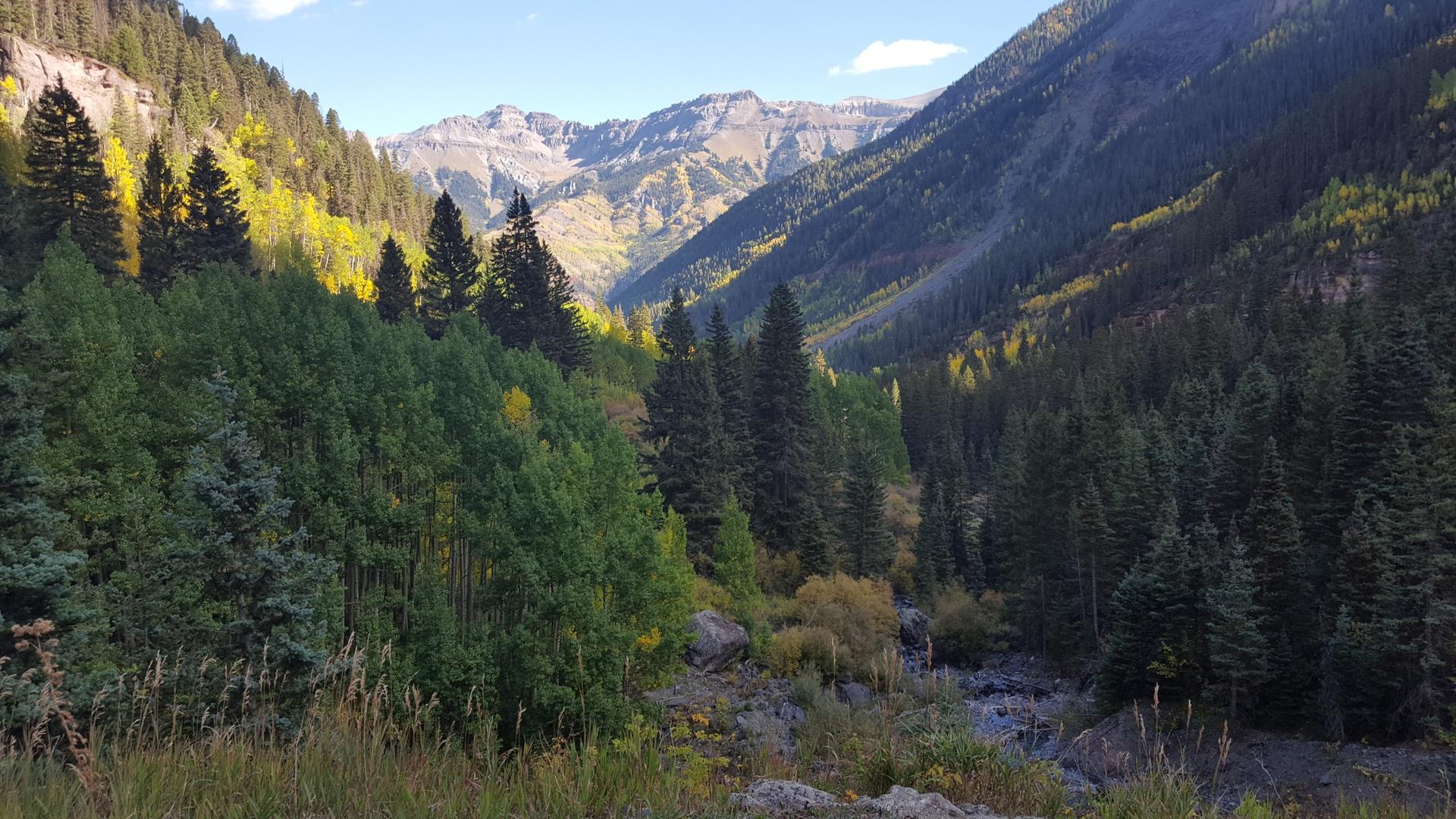 A sunlit mountain valley with a river, dense forests, and rugged peaks.