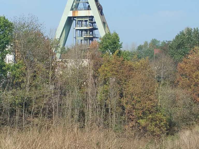Die Lippe Halima Deich Loop From Marl Bike Tour Komoot
