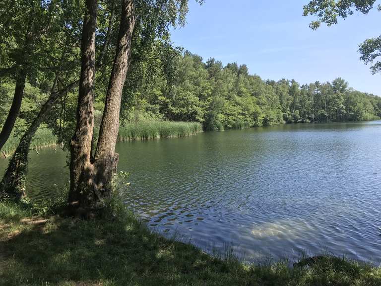 Großer Tonteich bei Zeesen Wanderungen und Rundwege komoot