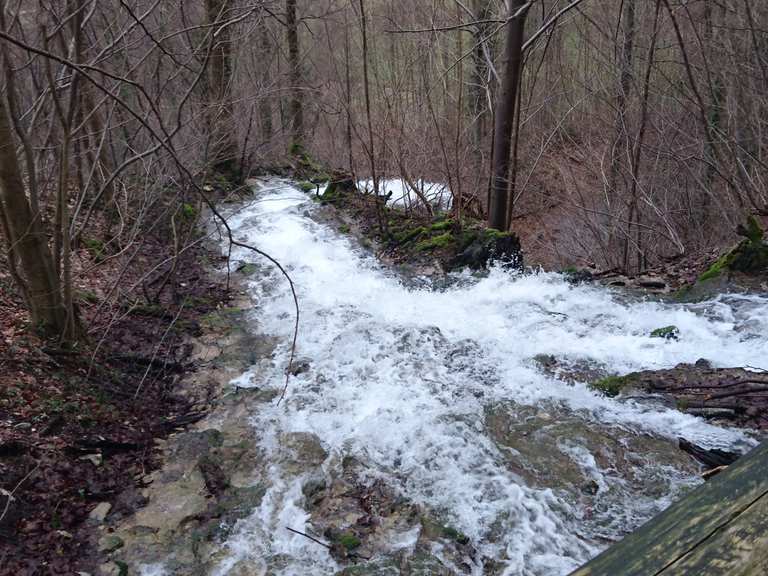 Neidlinger Wasserfall: Wanderungen und Rundwege | komoot