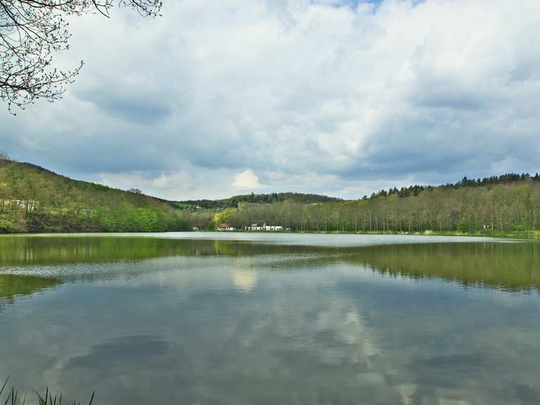Vatteröder Teich Wanderungen und Rundwege komoot