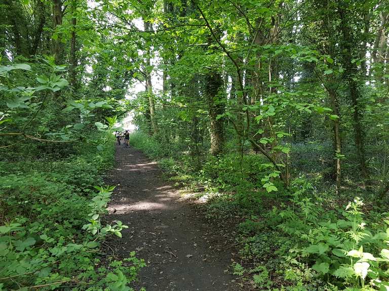 Far Tupton Wood - Derbyshire England Tips Photos for 