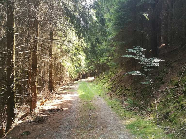 Vom Sterbecker Tal bis Rölvede Volme Runde von HagenOberhagen