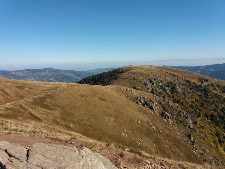 Felsenweg Col de la Schlucht Wanderungen