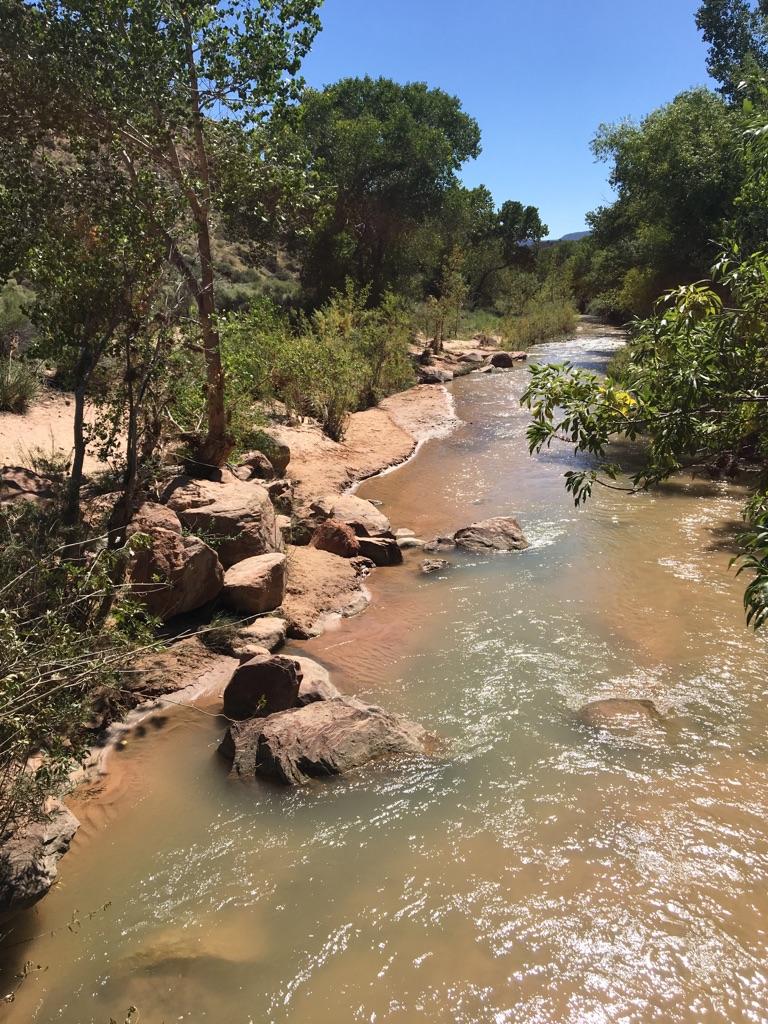 Murky river flows past rocky banks and green trees on a sunny day.