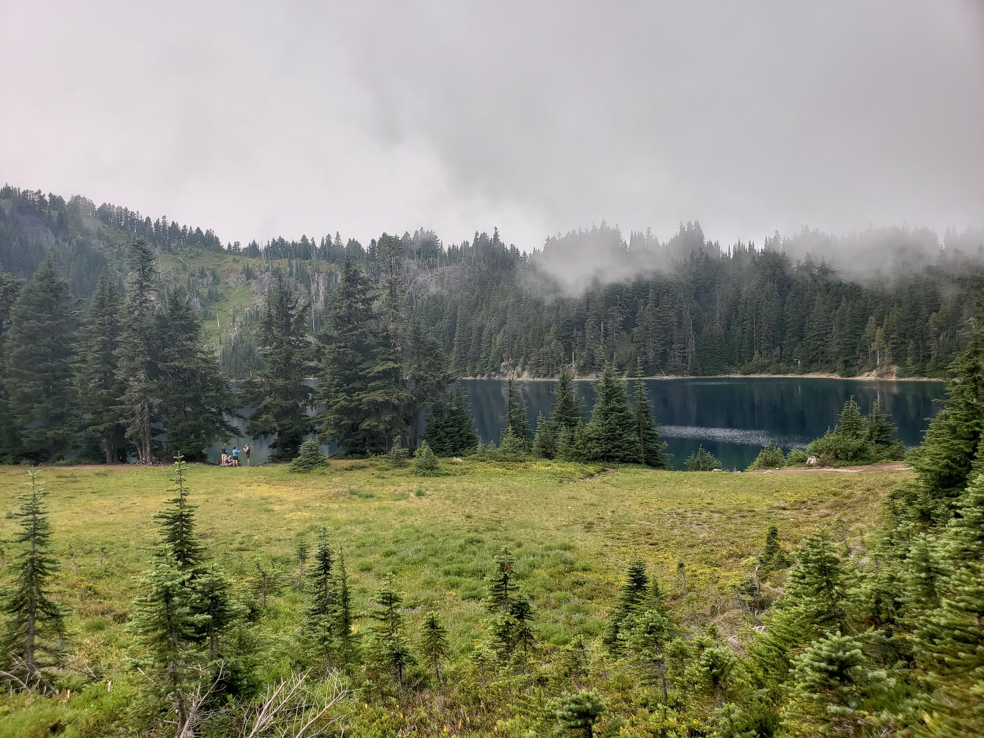 Misty, overcast view of a lake bordered by a grassy meadow and dense forest.