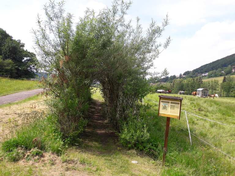 Barfusspfad Bad Orb Start Bad Orb Main Kinzig Kreis