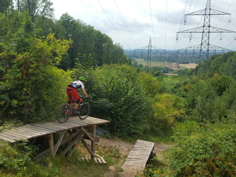 Strommasten Downhill Ettlingen Karlsruhe Mountain Biking Segment Komoot