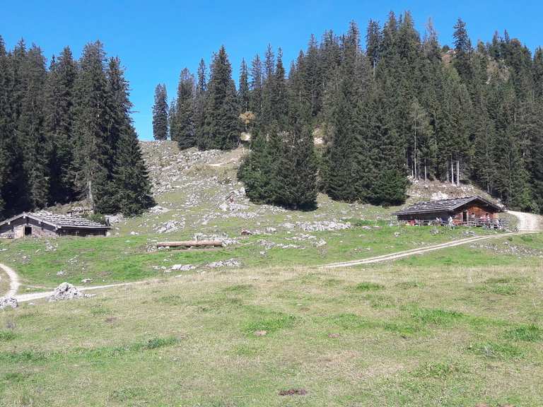 Moosenalm: Wanderungen und Rundwege | komoot