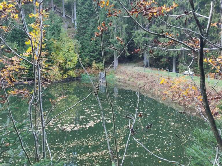 Stiller See Wanderungen und Rundwege komoot