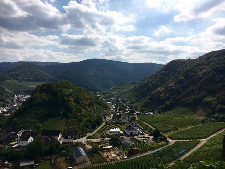 Blick auf Mayschoß wandelroutes en hikes | Komoot