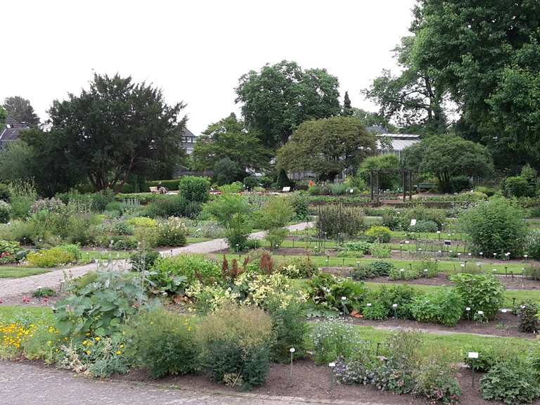 Botanischer Garten Niederrhein Regierungsbezirk Dusseldorf