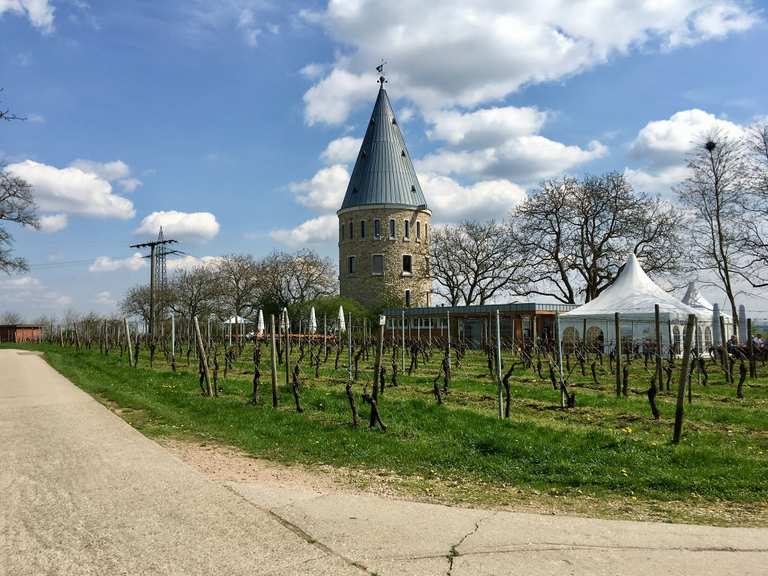 fl-rsheimer-warte-wander-radrouten-komoot