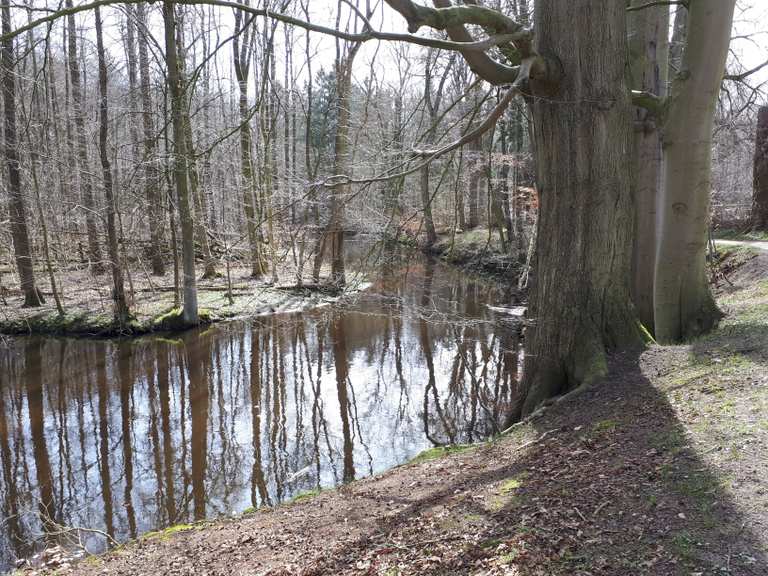 Weg an der Ammersbek Routes for Walking and Hiking Komoot