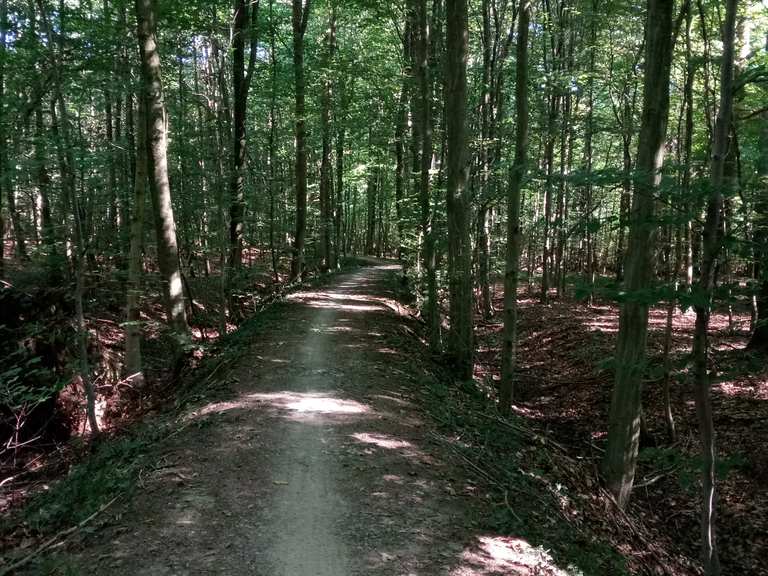 Paoters Pättken Schloss Darfeld Runde von Legden Fahrradtour Komoot