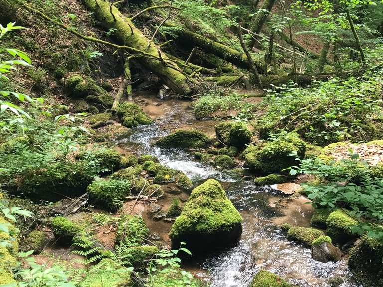 Höllschlucht Wanderungen und Rundwege komoot