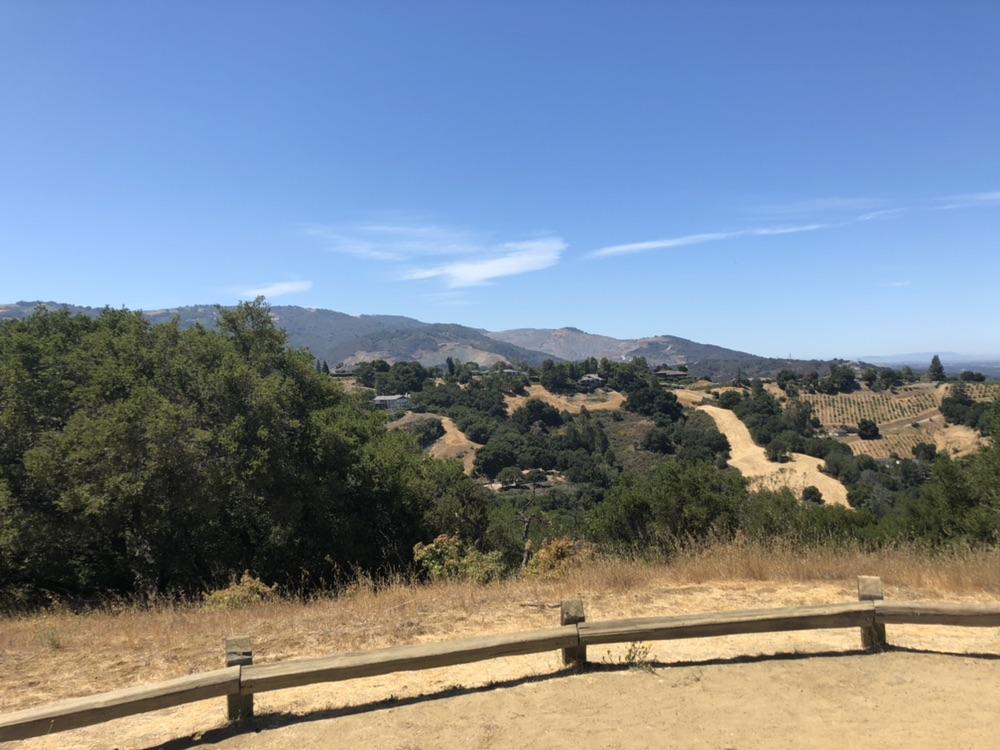 Sunny view of rolling hills, green trees, and distant mountains under a blue sky.