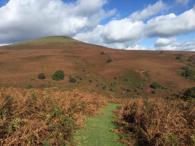 Sugar Loaf Trail – Sugar Loaf loop from Govilon | hike | Komoot