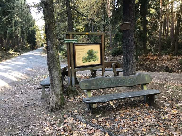Werdauer Wald Stauweiher Runde von Leubnitz Forst Wanderung Komoot