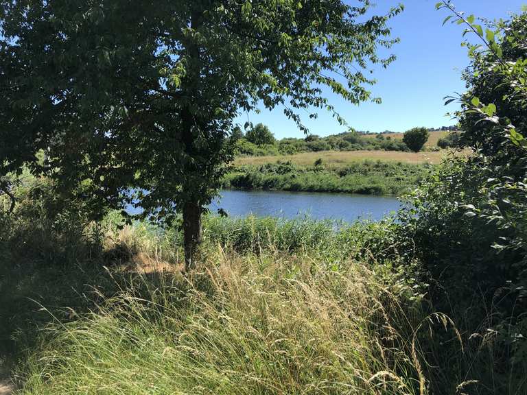 Giesener Teiche Mountain Bike Trails & Tracks Komoot