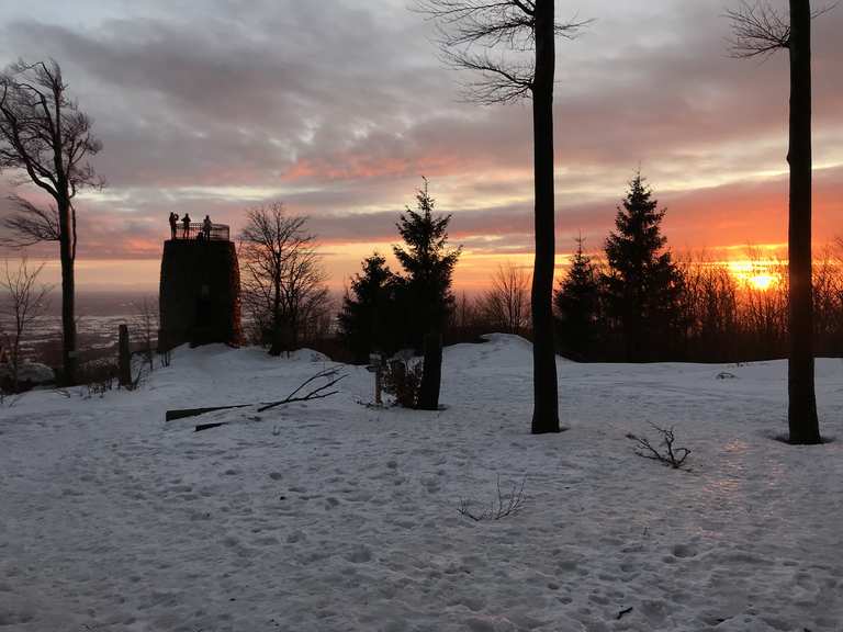 Hirschenstein Wanderungen und Rundwege komoot